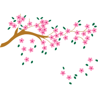 Galho De Cerejeira Flowers Galho De Cerejeira Flowers