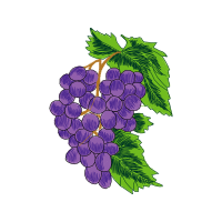 Grape Flowers