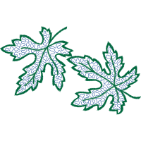 Grape Leaves Flowers