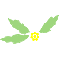 Illustration Flowers