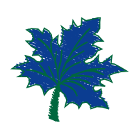 Illustration Flowers