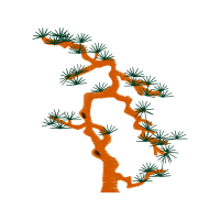 Illustration Flowers Illustration Flowers