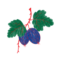 Illustration Flowers