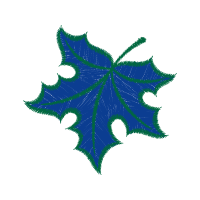 Illustration Flowers