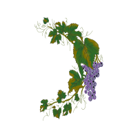 Illustration Flowers