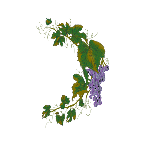 Illustration Flowers Illustration Flowers