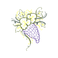 Illustration Flowers Illustration Flowers