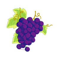 Illustration Flowers