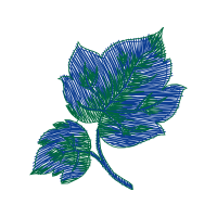 Illustration Flowers