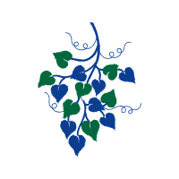 Illustration Flowers