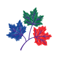 Illustration Flowers