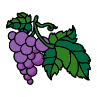 Illustration Flowers