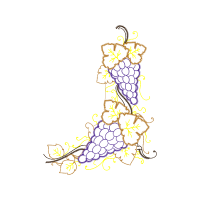 Illustration Flowers Illustration Flowers