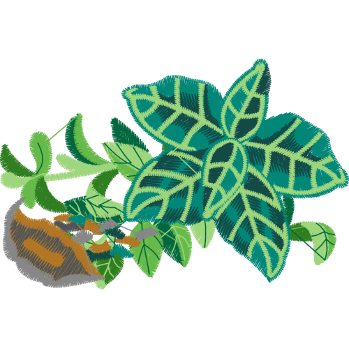 Illustration Flowers Illustration Flowers