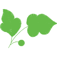 Illustration Flowers