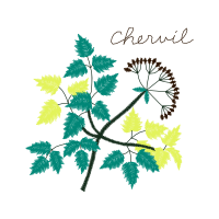 Illustration Flowers Illustration Flowers