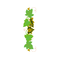 Illustration Flowers Illustration Flowers