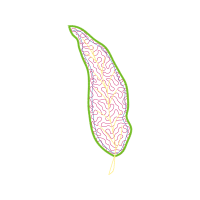 Illustration Flowers Illustration Flowers