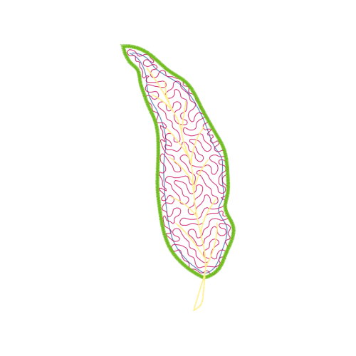 Illustration Flowers Illustration Flowers