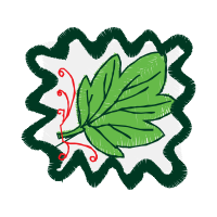 Illustration Flowers