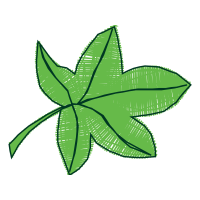 Illustration Flowers