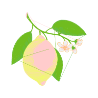 Illustration Flowers