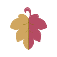 Illustration Flowers