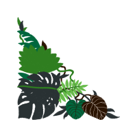 Illustration Flowers