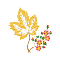 Illustration Flowers