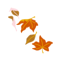 Illustration Flowers