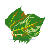 Illustration Flowers