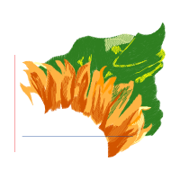 Illustration Flowers