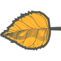 Illustration Flowers