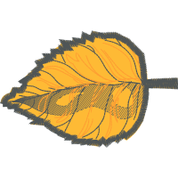 Illustration Flowers