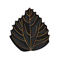 Illustration Flowers