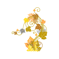 Illustration Flowers