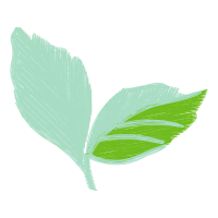 Illustration Flowers Illustration Flowers