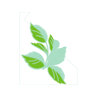 Illustration Flowers Illustration Flowers