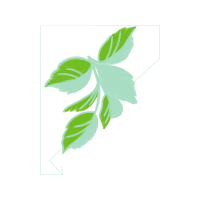 Illustration Flowers Illustration Flowers