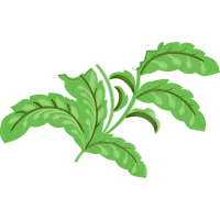 Illustration Flowers Illustration Flowers