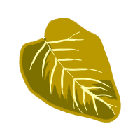 Illustration Flowers