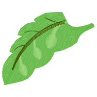 Illustration Flowers Illustration Flowers