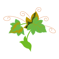 Illustration Flowers Illustration Flowers