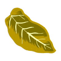 Illustration Flowers