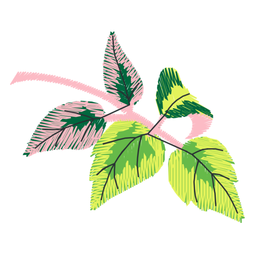 Illustration Flowers Illustration Flowers