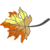 Illustration Flowers