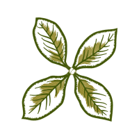 Illustration Flowers