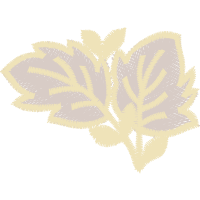 Illustration Flowers