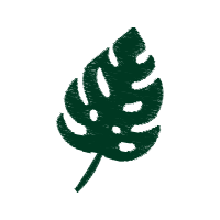 Illustration Flowers