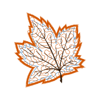 Illustration Flowers Illustration Flowers